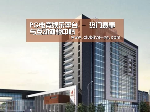 PG篮球案例展示四