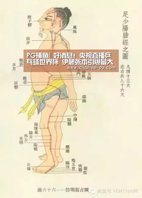 PG电竞直播