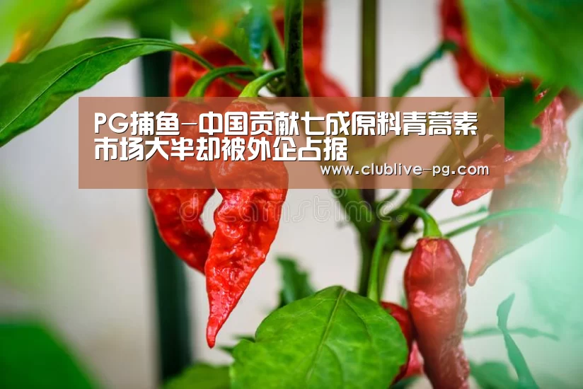 PG捕鱼