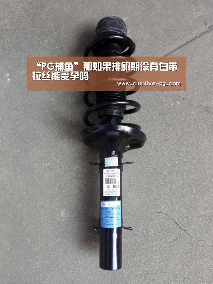 “PG捕鱼”那如果排卵期没有白带拉丝能受孕吗(图2) PG篮球